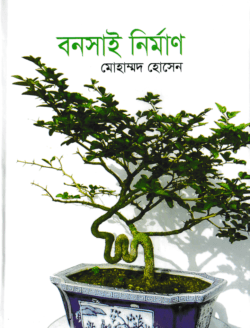 বনসাই নির্মাণ