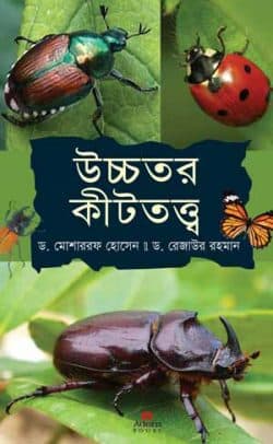 উচ্চতর কীটতত্ত্ব