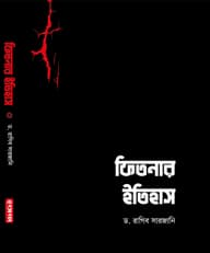 ফিতনার ইতিহাস